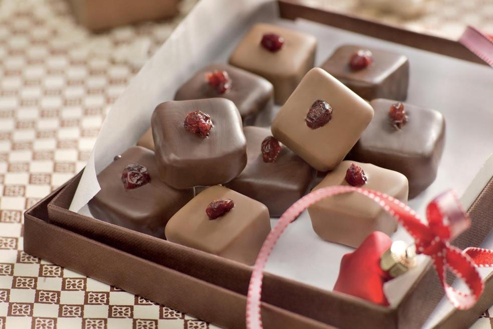 Chocolats maison aux canneberges