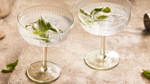 Gin tonic au basilic
